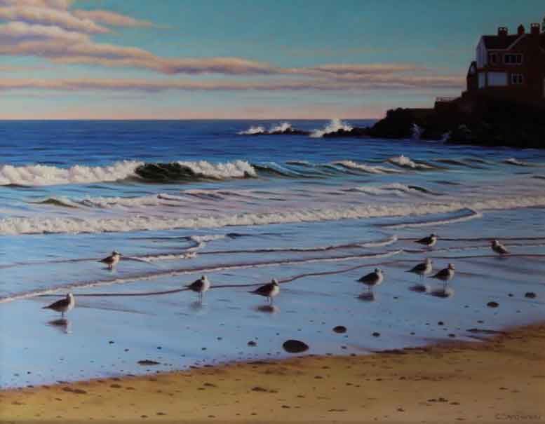 -Seagulls-in-Surf